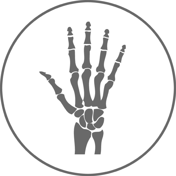 600x600 Anatomy Icon