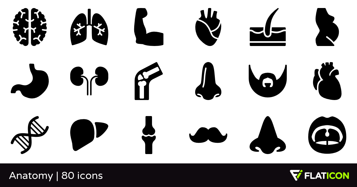 1200x630 Anatomy Free Icons