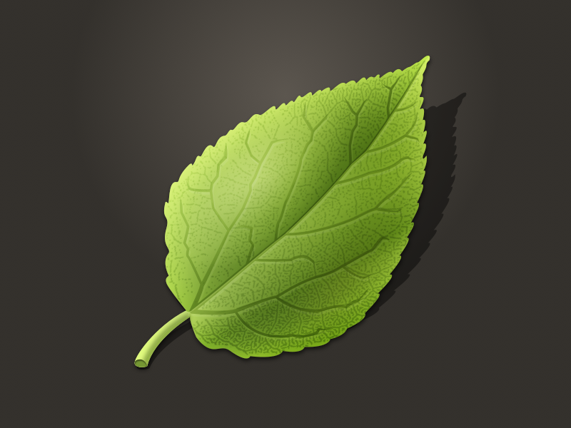 800x600 Mobile Shaky Leaf Icon