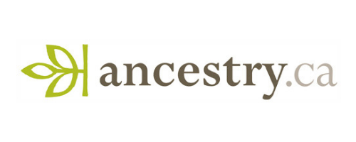 500x200 Online Library