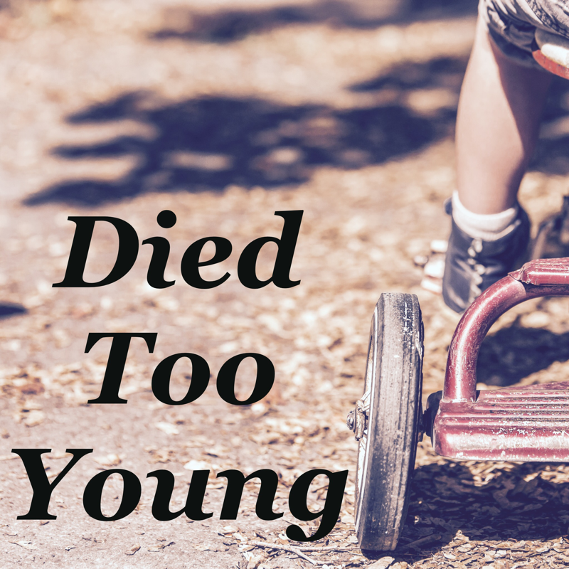 800x800 Ancestry Tree Icons