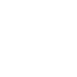 256x256 White Anchor Icon