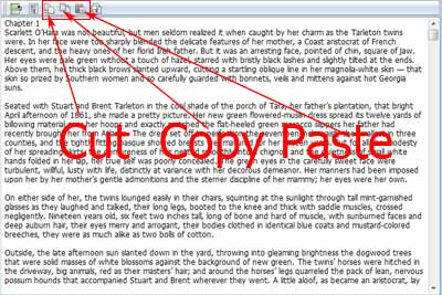 400x267 Copy And Paste Content Into Chapter
