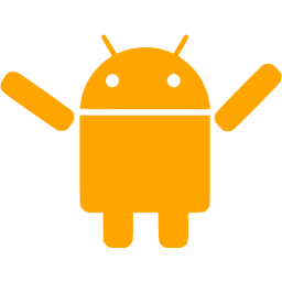 256x256 Orange Android Icon