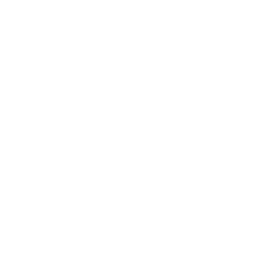 256x256 White Android Icon