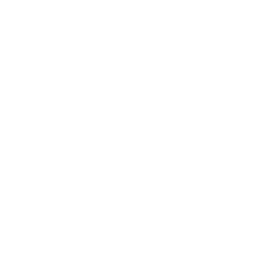 256x256 White Android Icon