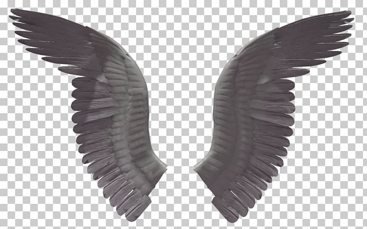 728x455 Computer Icons Angel Halo Png Clipart Free Cliparts Uihere