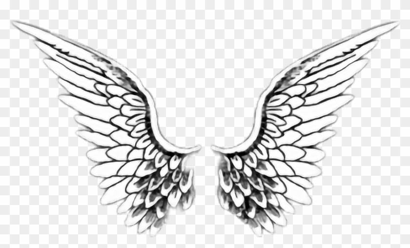 840x508 Tumblr Logo Transparent Background