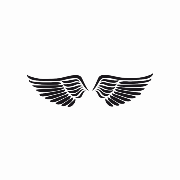 600x600 Angel Wing Png