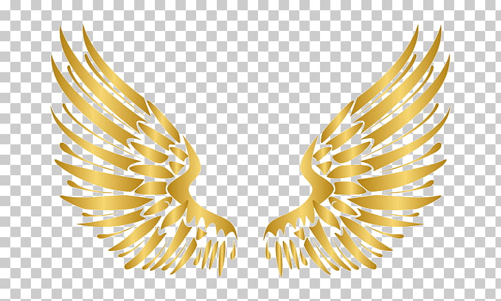 728x438 Gold, Angel Wings Icon Png Clipart Free Cliparts Uihere