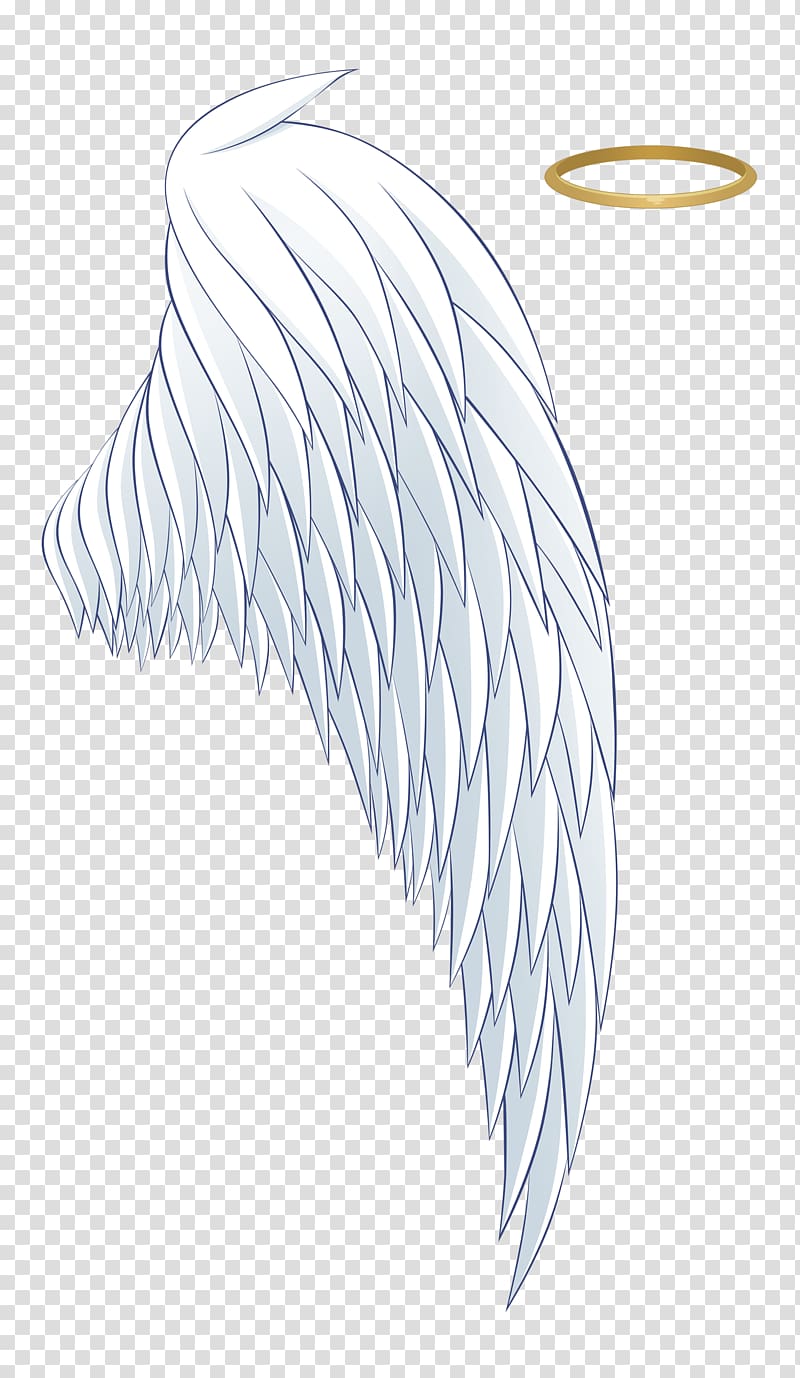 800x1378 White Wing With Halo Illustration, Angel Aureola Wing Icon, White