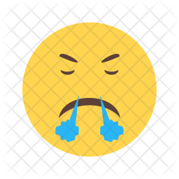 256x256 Angry Icon Of Flat Style