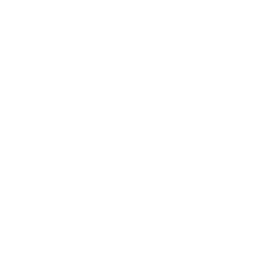 256x256 White Angry Icon
