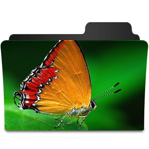 512x512 Butterfly Ii Icon