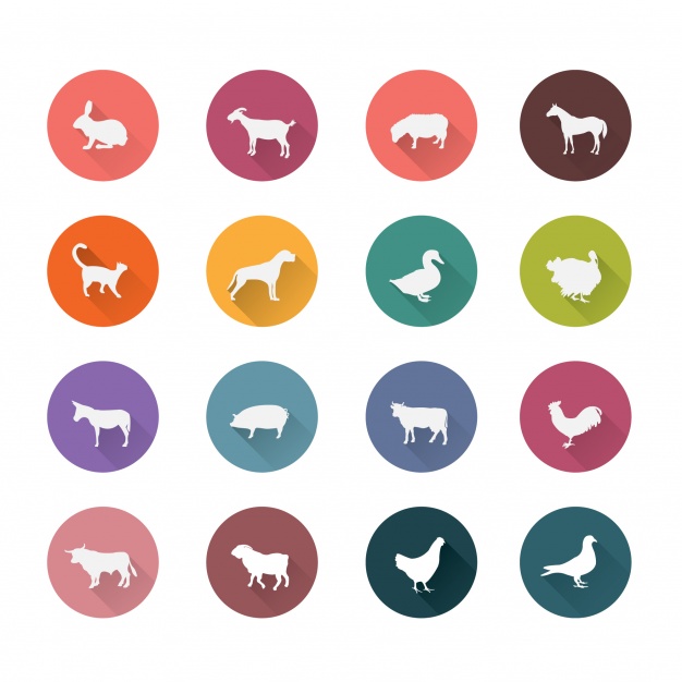 626x626 Animal Icons Collection Vector Free Download