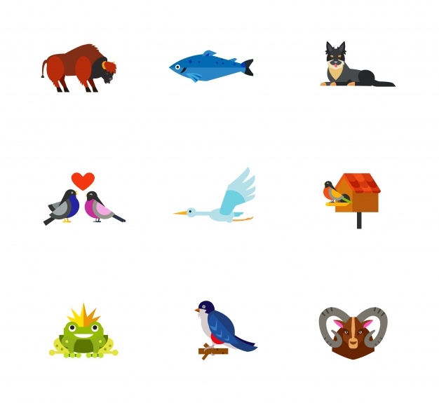 626x575 Animal Icons Collection