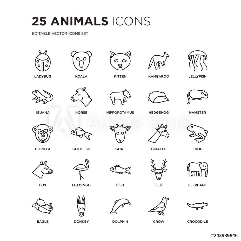 Animal Icon Pack at Vectorified.com | Collection of Animal Icon Pack ...