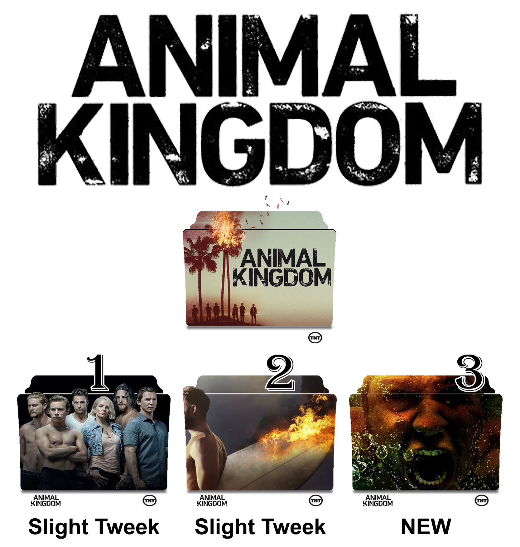 1668x1754 Animal Kingdom Series And Season Folder Icons