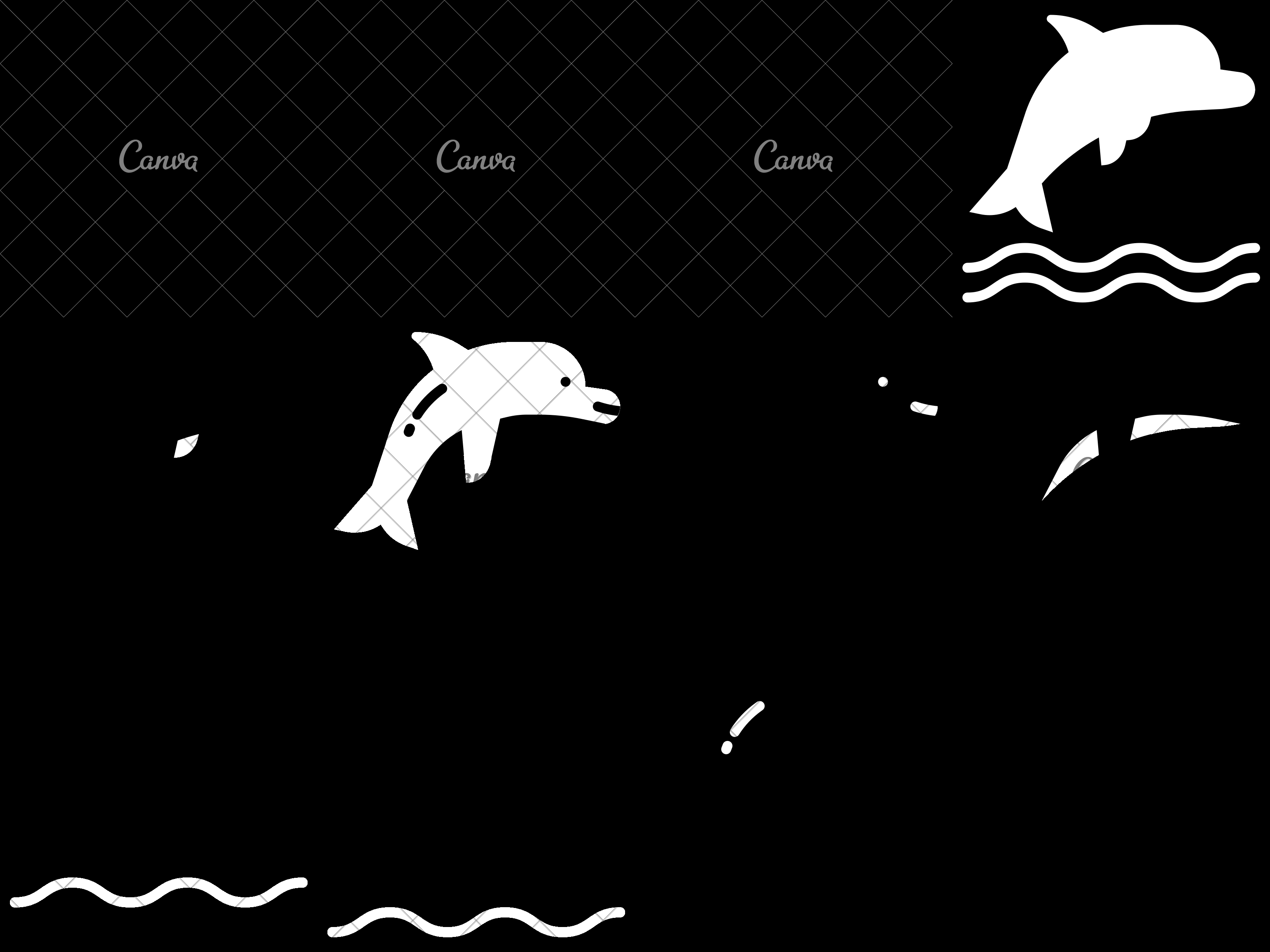 3200x2400 Dolphin Animal Aquarium Animals Kingdom Icon