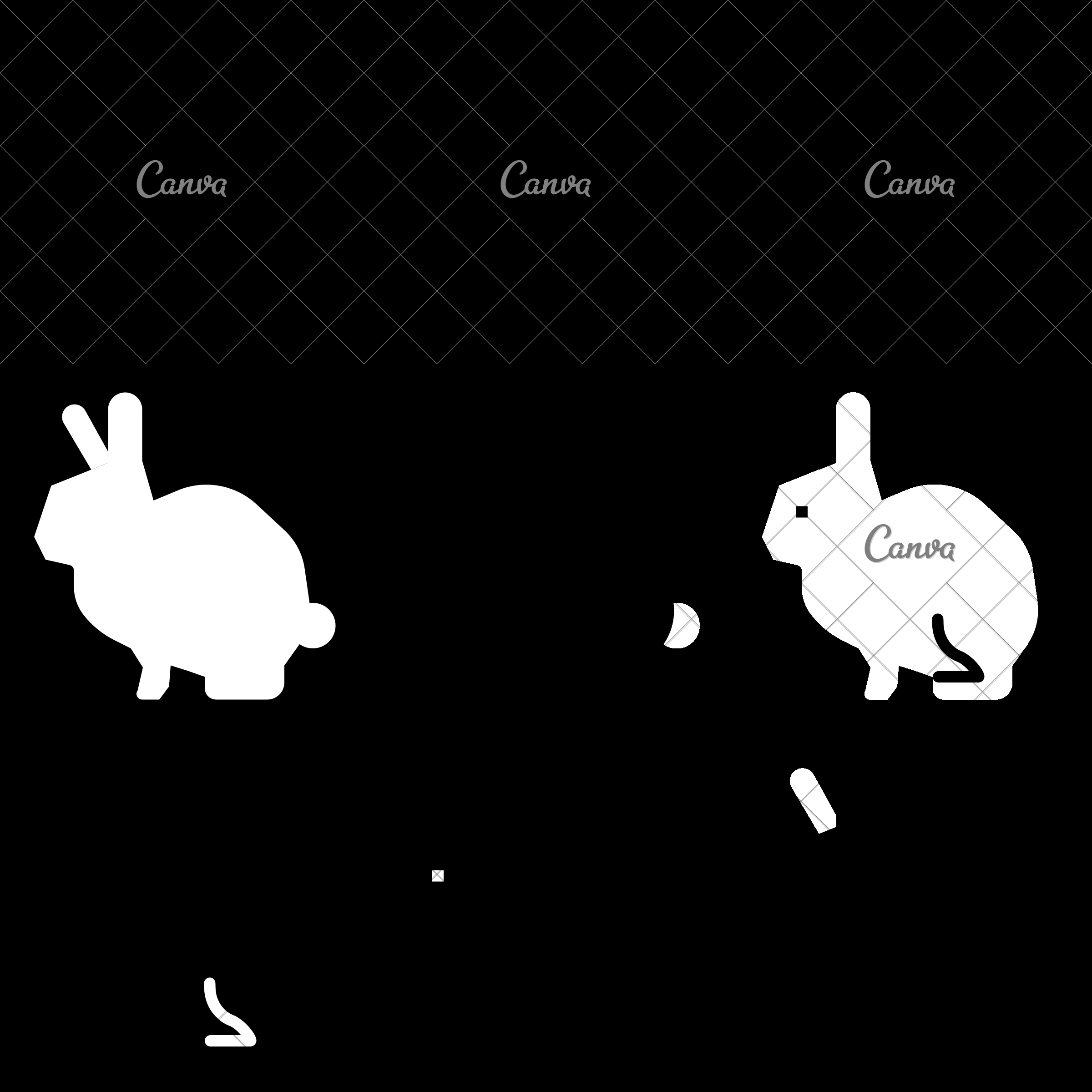 2400x2400 Rabbit Animals Animal Kingdom Wild Life Icon