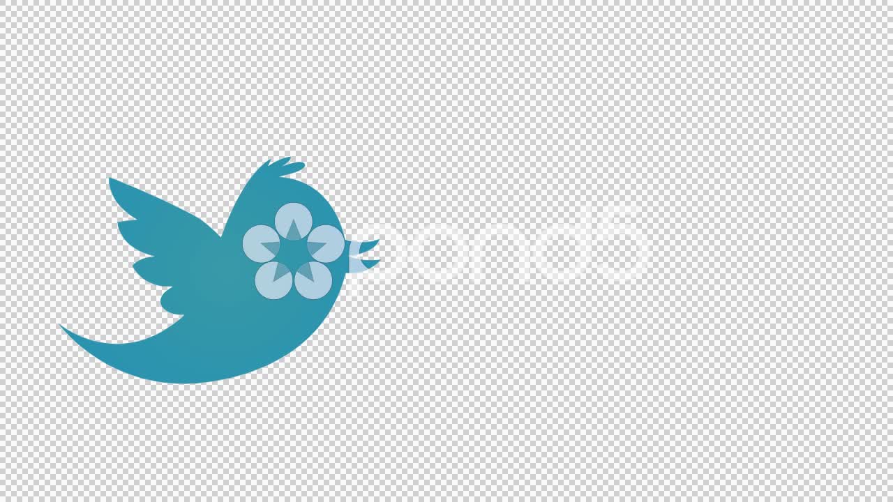 1280x720 Video Twitter Icon Animated Illustration Whiteboard Sketch