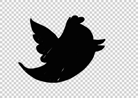 480x344 Animated Twitter Icon Logo Sign Illustration Sketch Drawing Hand