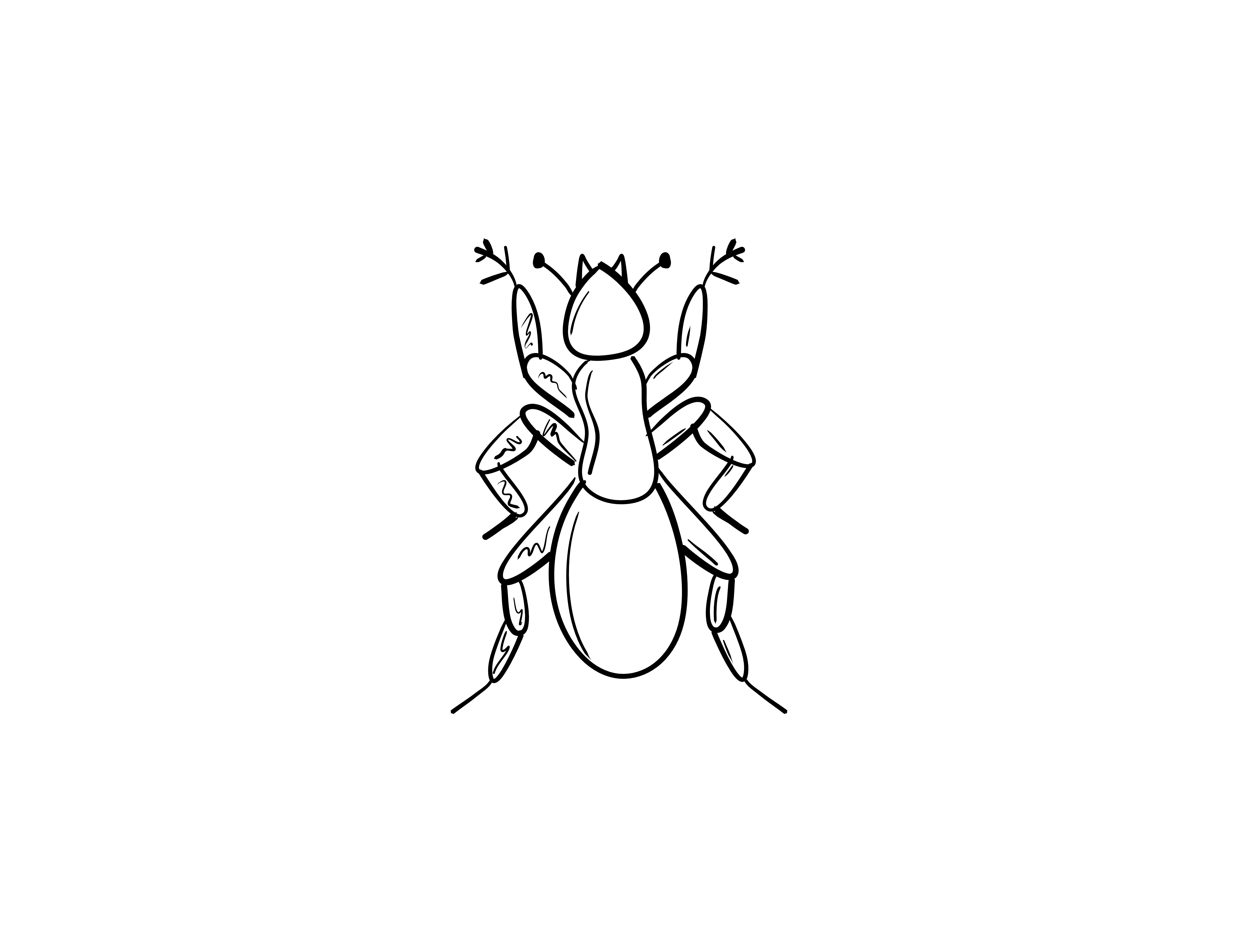 Ant Outline Doodle Icon Graphic 5000x3846 Ant Outline Doodle Icon Graphic