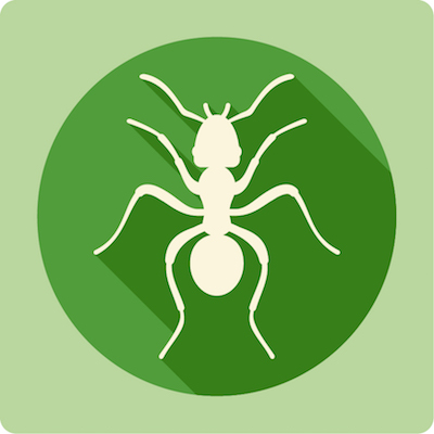 Ant Icon Clearfirst Pest Control 400x400 Ant Icon Clearfirst Pest Control