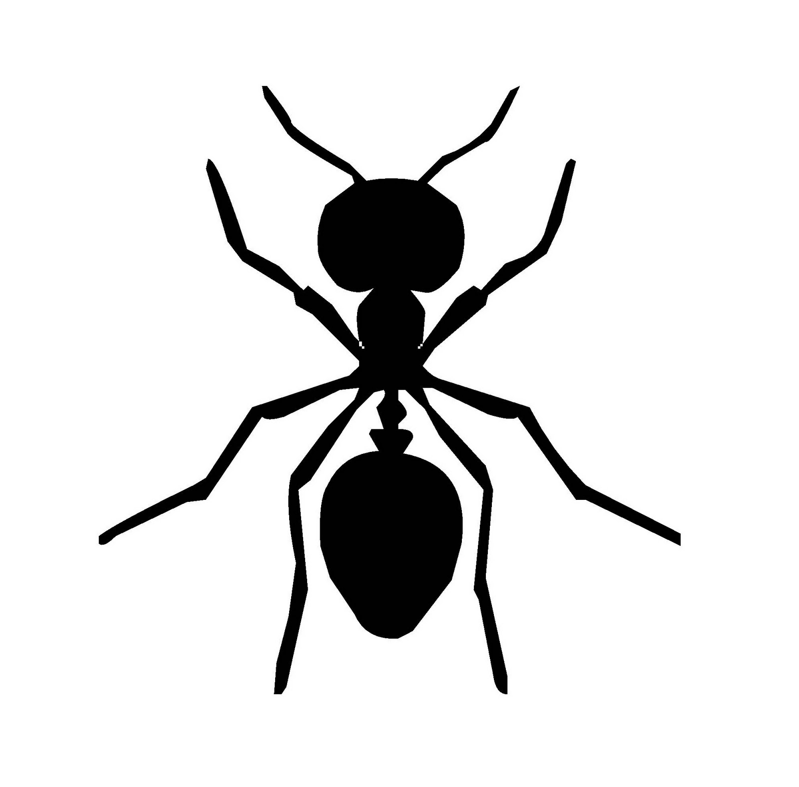 Ants Icon 1600x1576 Ants Icon