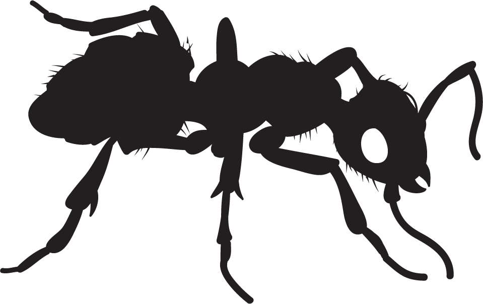 Ant Icon 959x604 Ant Icon