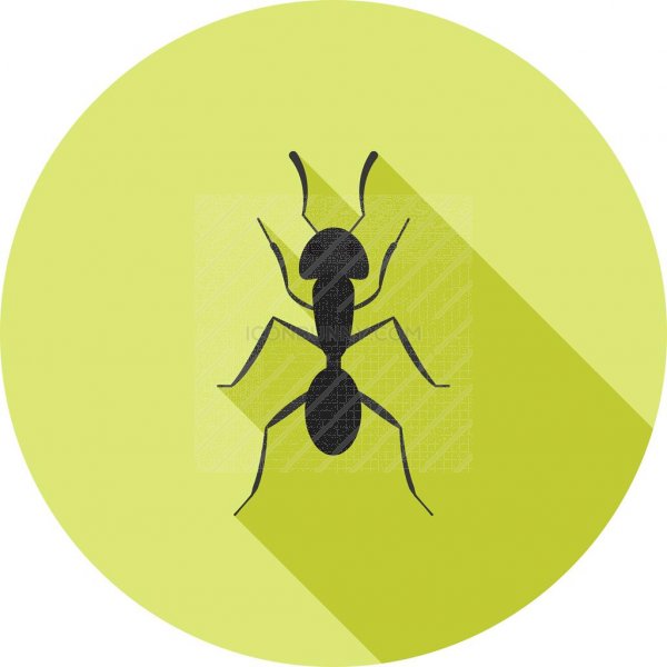 Ant Flat Shadowed Icon 600x600 Ant Flat Shadowed Icon