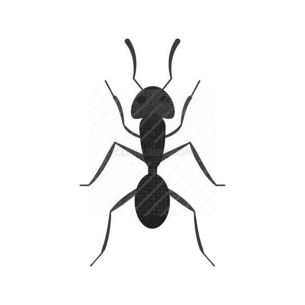 Ant Greyscale Icon 600x600 Ant Greyscale Icon