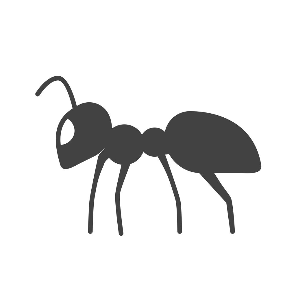 Ant Ii Glyph Icon 1024x1024 Ant Ii Glyph Icon