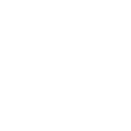 256x256 White Antenna Icon