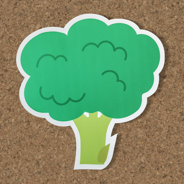626x626 Brocolli Antioxidant Vegan Food Icon Photo Free Download