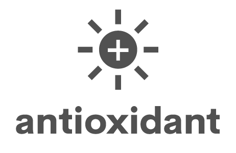 462x300 Nurished Whole Food Health The Best Food In The Best Way Kids