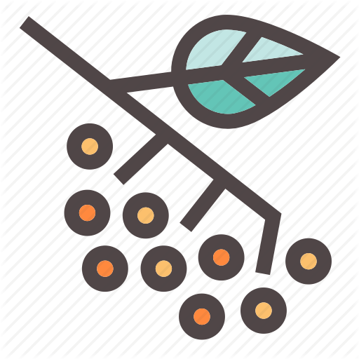 512x512 Antioxidant, Autumn, Berries, Fall, Food, Gastronomy, Tart Icon