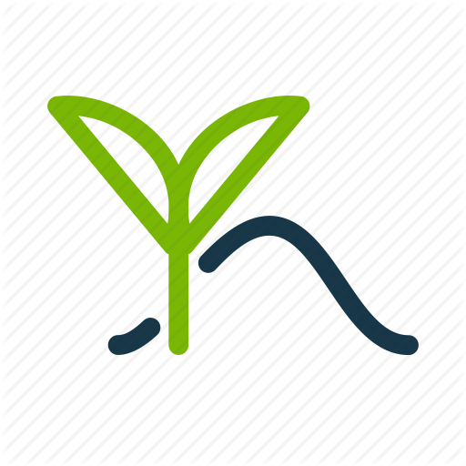 512x512 Antioxidant, Leaf, Matcha, Plant, Tea Icon