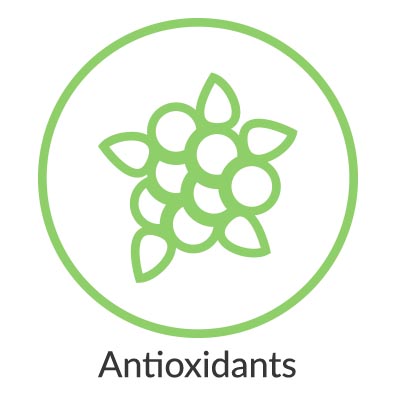 400x400 Antioxidant Icon