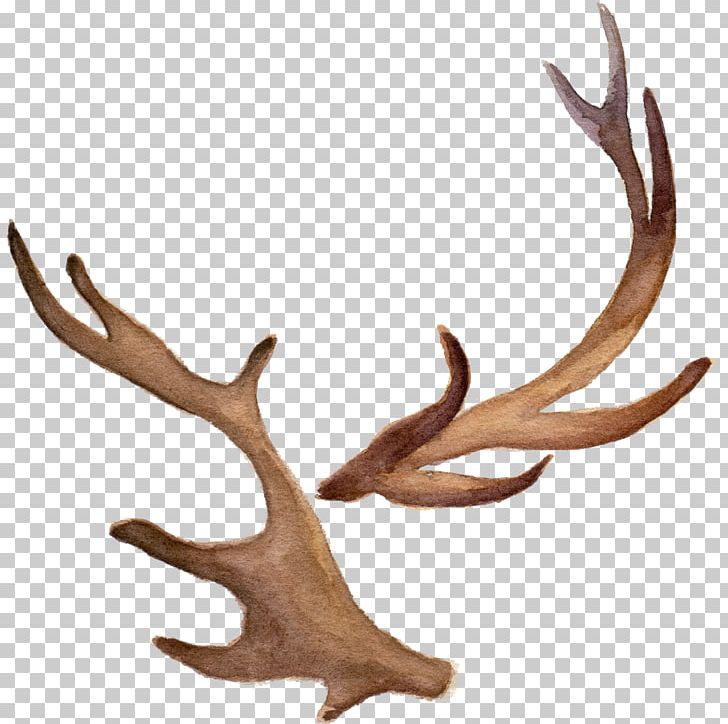 728x724 Antler Icon Png, Clipart, Animal, Animals, Antlers, Art, Cartoon