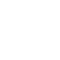256x256 Free White Anubis Icon