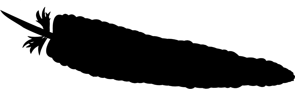 981x296 Apache Png Icon Free Download