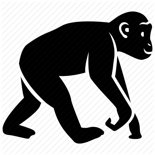 512x512 Ape, Chimp, Chimpanzee, Gibbon, Marmoset, Monkey, Primate Icon