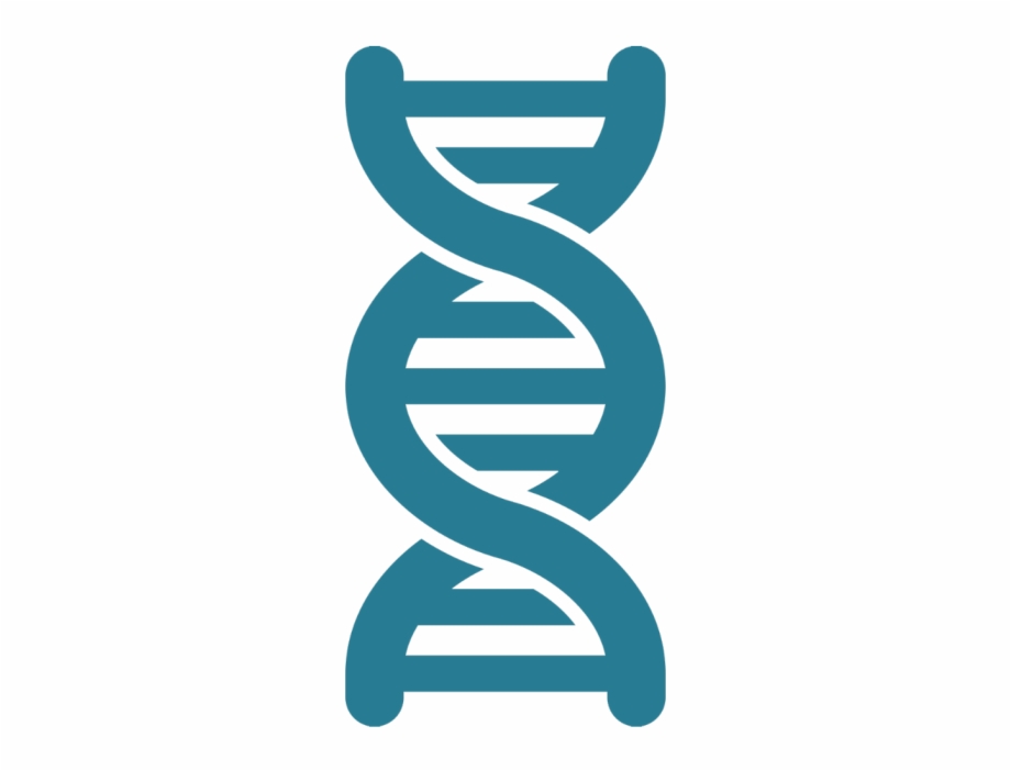 920x702 Biomedical Data Science Initiative