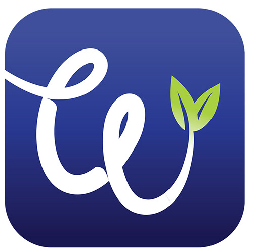 500x495 Ellis Echevarria