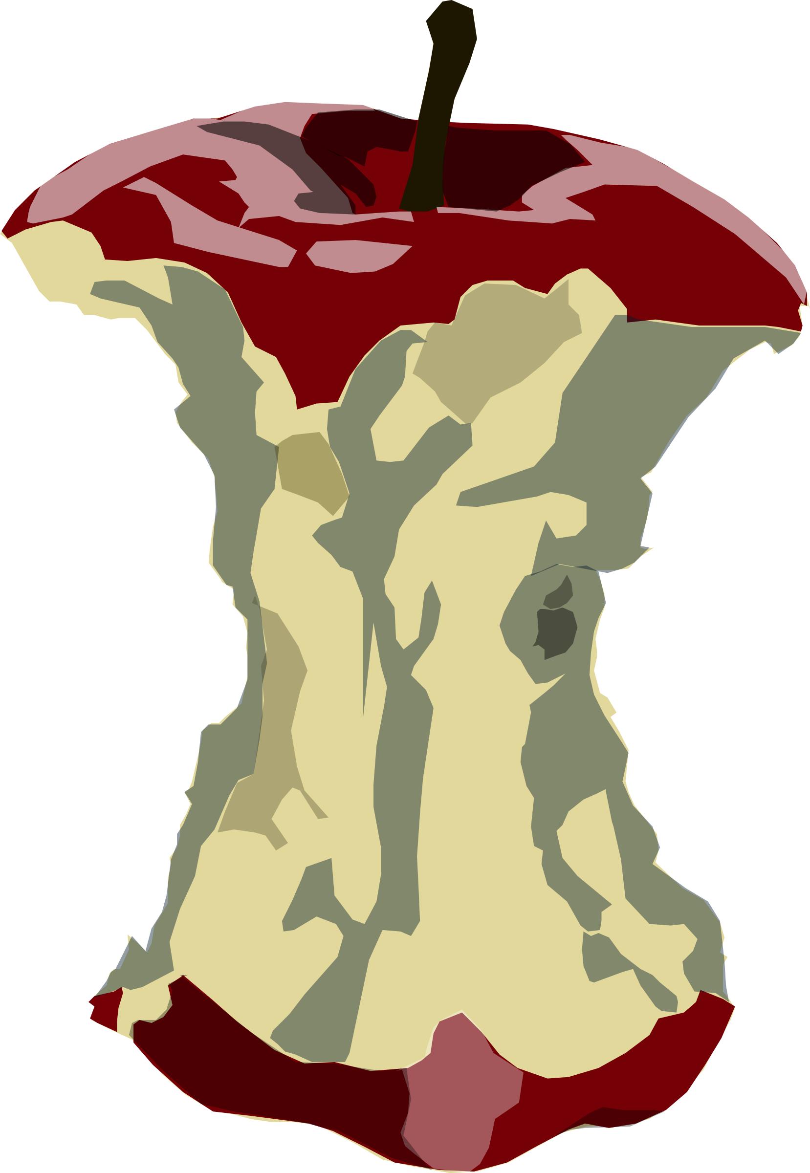 1657x2400 Apple Core Icons Png