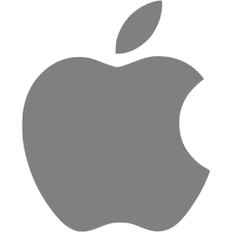 256x256 Gray Apple Icon