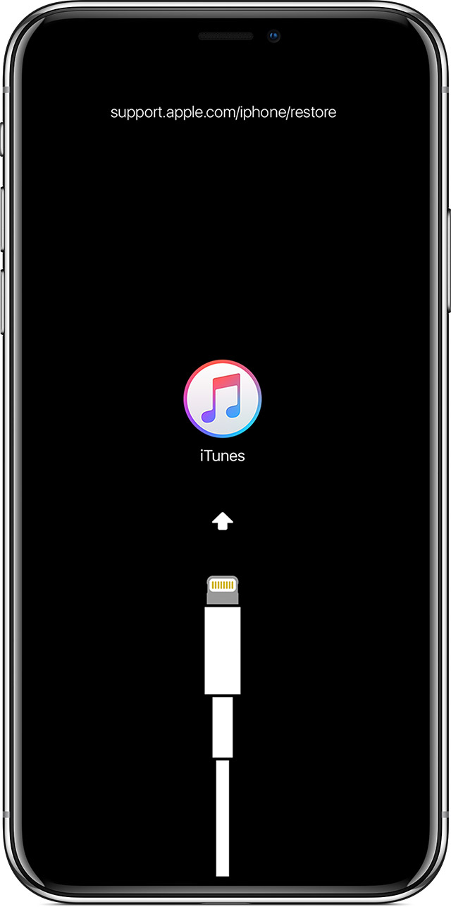 640x1286 If You See The Connect To Itunes Screen On Your Iphone, Ipad