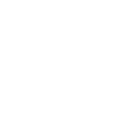 256x256 White Apple Icon