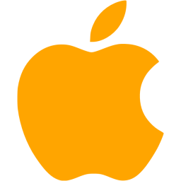 256x256 Orange Apple Icon